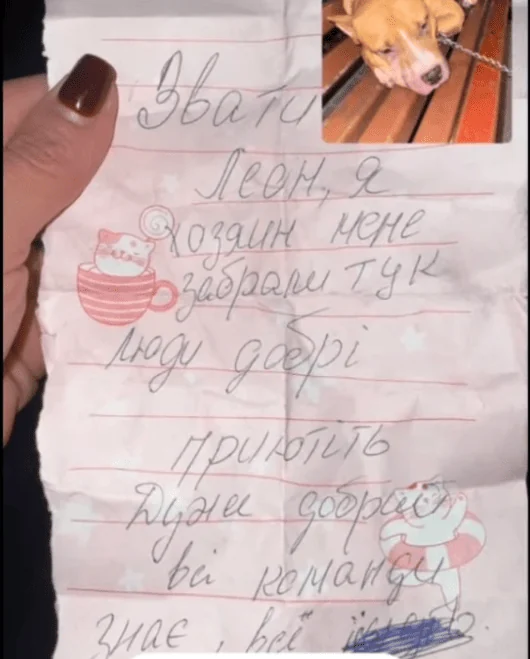 Записка, залишена біля Леона / © скриншот з відео