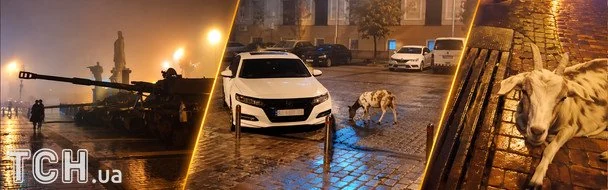 Чия коза гуляє біля МЗС? : історія киянина, який вигулює тварин в центрі Києва