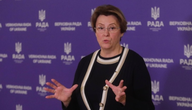 Висновки комітету ВР не врахували жодної змістовної поправки до бюджету-2027 - Южаніна