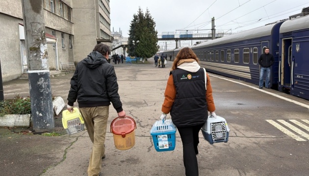 На Рівненщину з початку року евакопоїздами прибули 500 людей