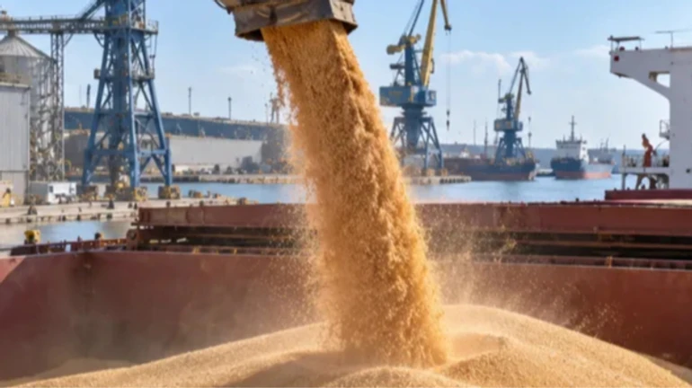 Зерновози РФ почали виходити з Азовського моря після трьох місяців простою